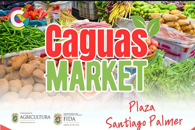 Caguas Market