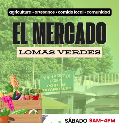 Lomas Verdes Market