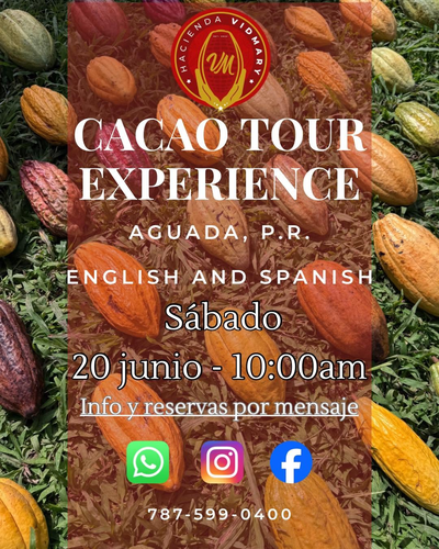 Cacao Tour Experience