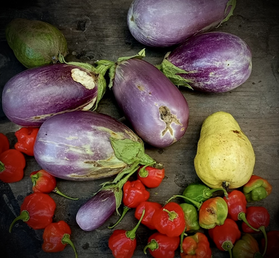 Mercado Agrícola Comunitario
